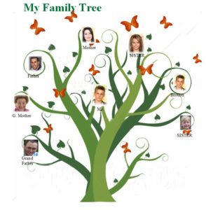 family tree mac torrent