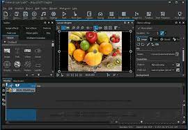 AquaSoft Stages Serial Key