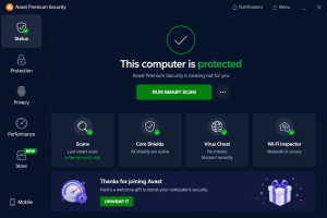 Avast Premium Security antivirus protection dashboard on Windows